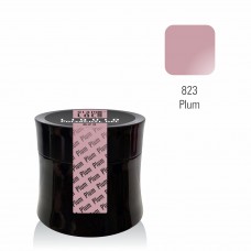 15ml Jar #823 Liquid Polyacryl Gel Plum