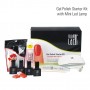 Gel polish starter kit with 6 W LED lamp